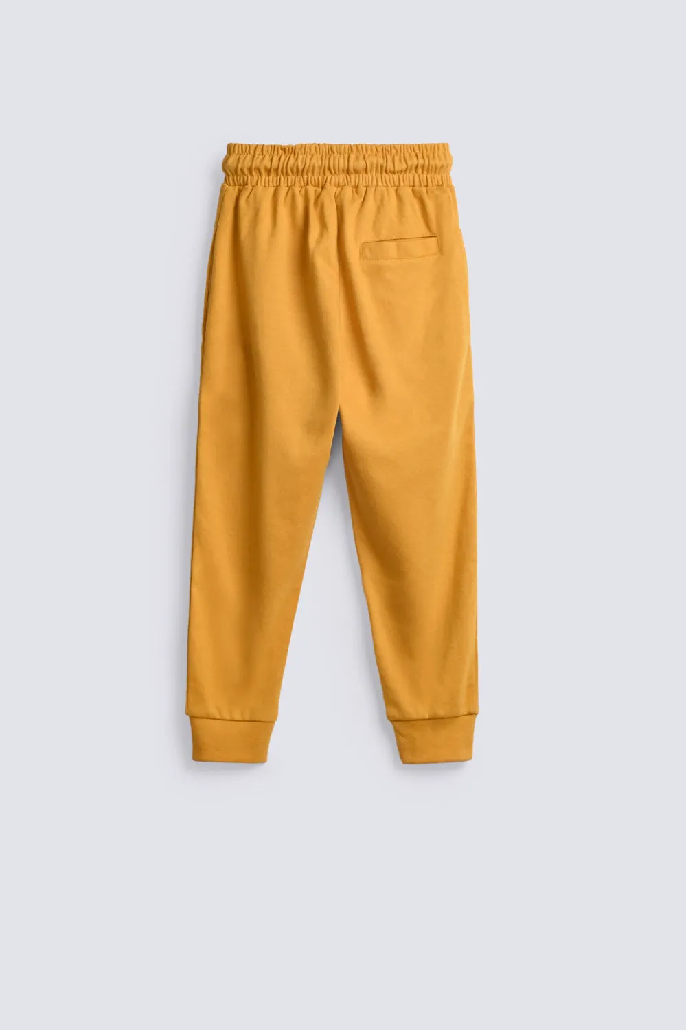 BOYS JOGGER TROUSER