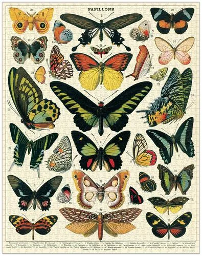  Butterflies  - 1000-Piece Puzzle