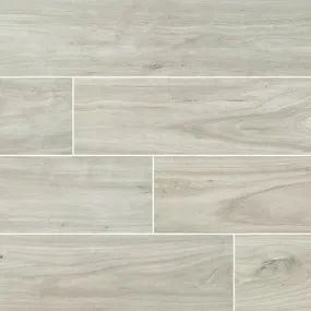 Catalina Collection Ice Porcelain Tile - 8x48" Polished