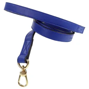 Daisy Dog Leash in Cobalt Blue & Gold