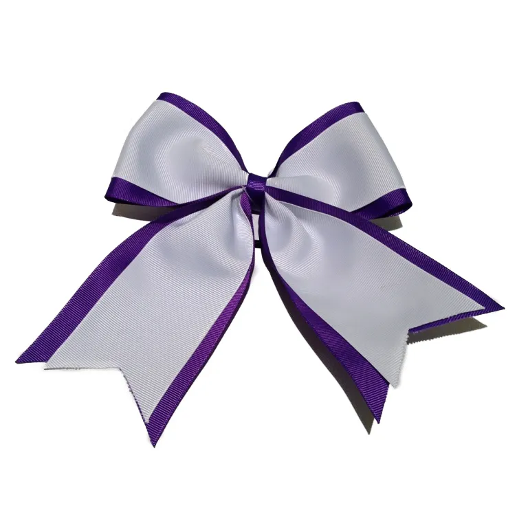 Two-colored hair bow